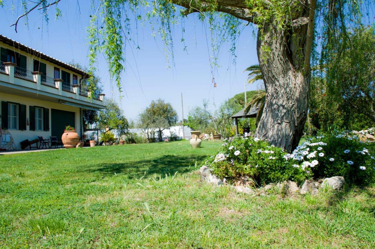 Villa Enli Capalbio Dış mekan fotoğraf