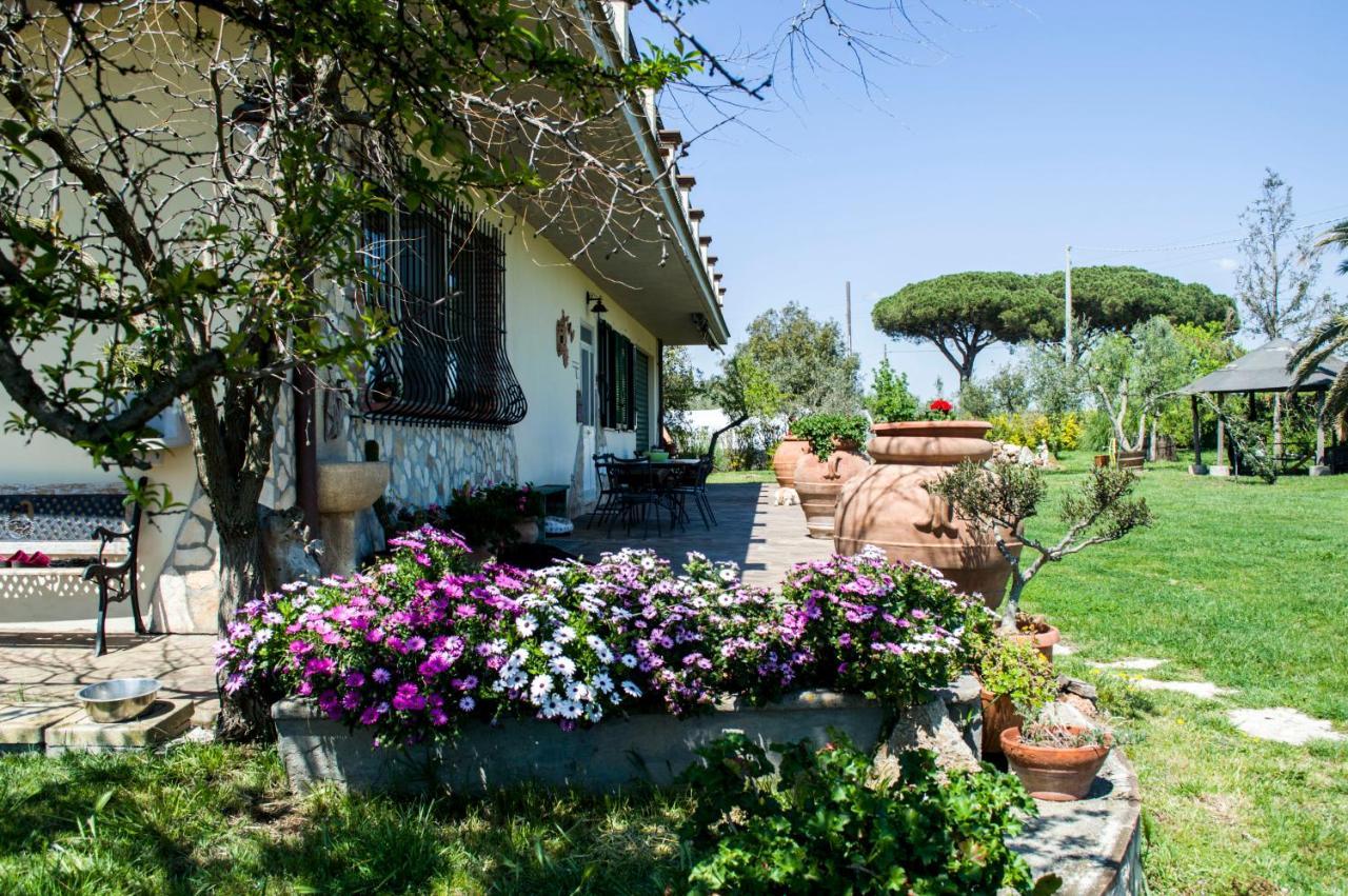 Villa Enli Capalbio Dış mekan fotoğraf