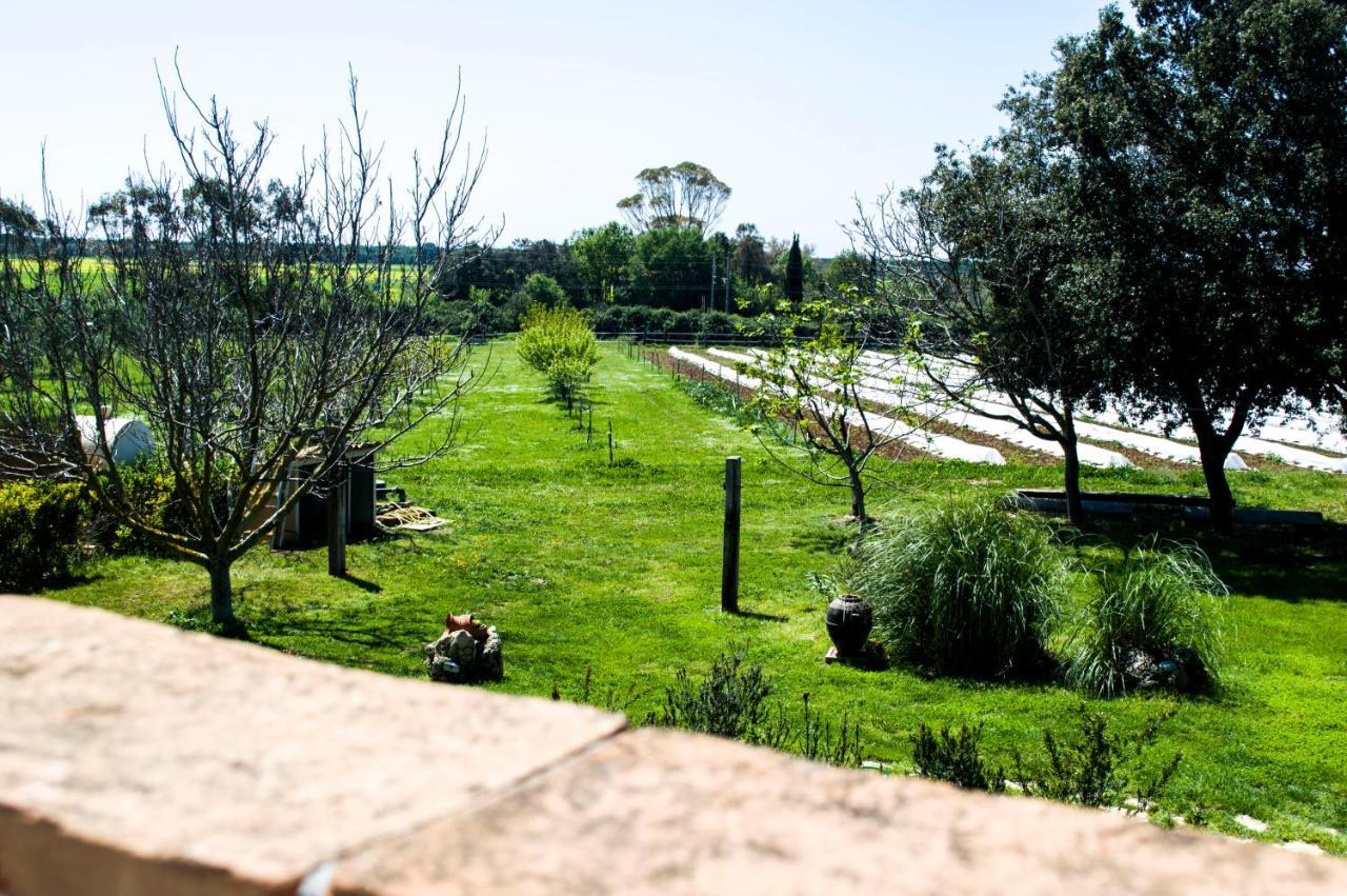 Villa Enli Capalbio Dış mekan fotoğraf